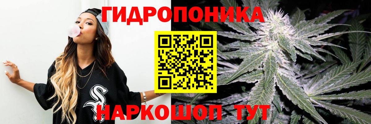 МАРИХУАНА White Widow  Бошки марихуана планчик  Вход с VPN  Шишки марихуана планчик  Донской  Конопля Bruce Banner 
